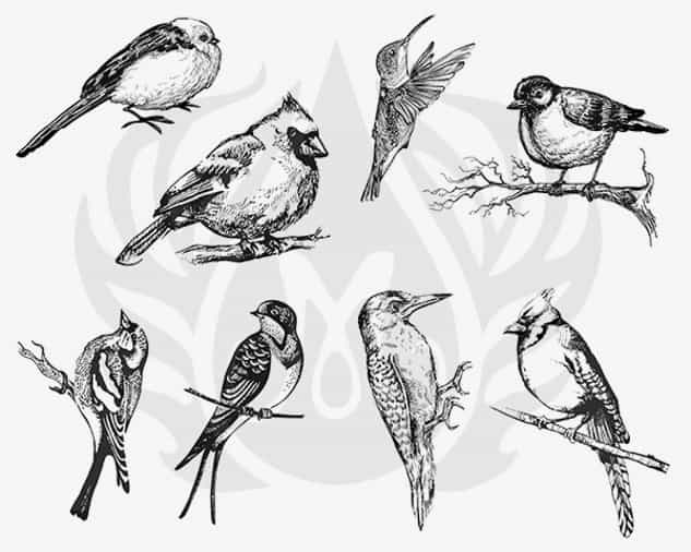 DSS0108 - Designer Silkscreen Aviary – Small Birds