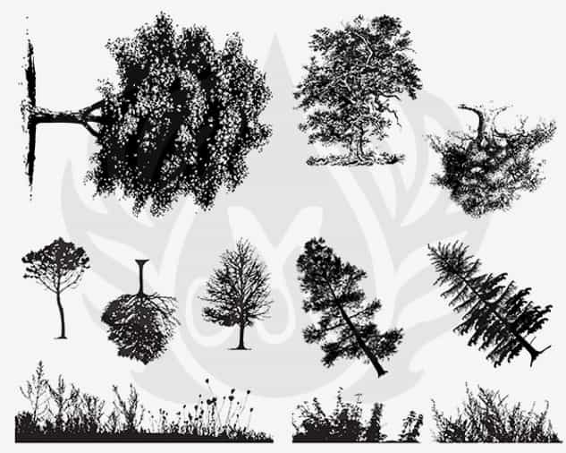 DSS0110 - Designer Silkscreen Botanical – Trees