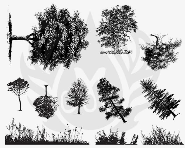 DSS0110 - Designer Silkscreen Botanical – Trees - Imagen 1