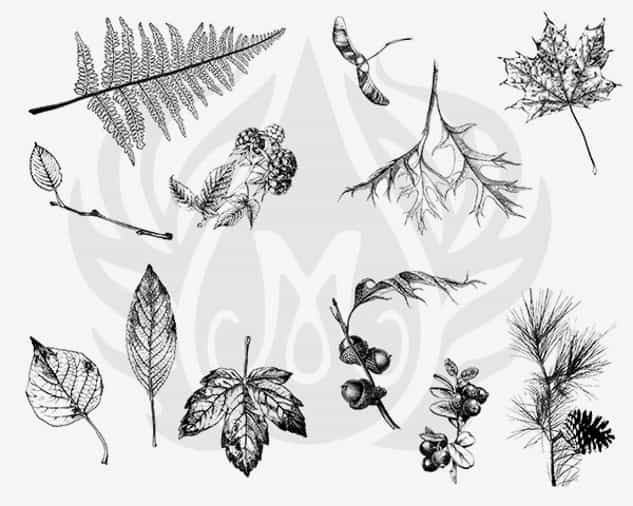 DSS0111 - Designer Silkscreen Botanical – Leaves