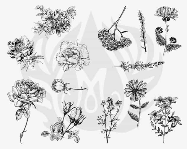 DSS0112 - Designer Silkscreen Flowers