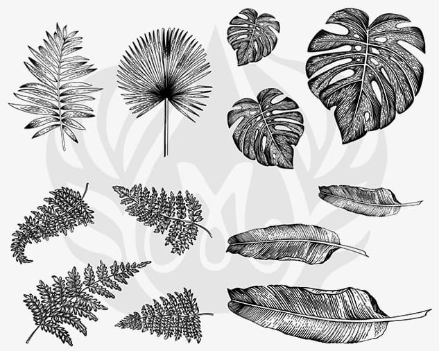 DSS0166 - Designer Silkscreen Tropical Leaves - Imagen 1
