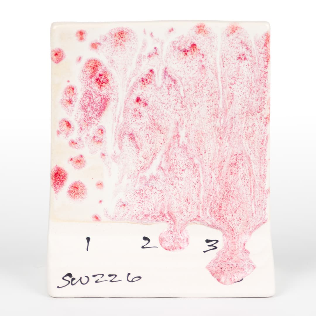 SW226P - Pink Pearl - Pint - Imagen 9