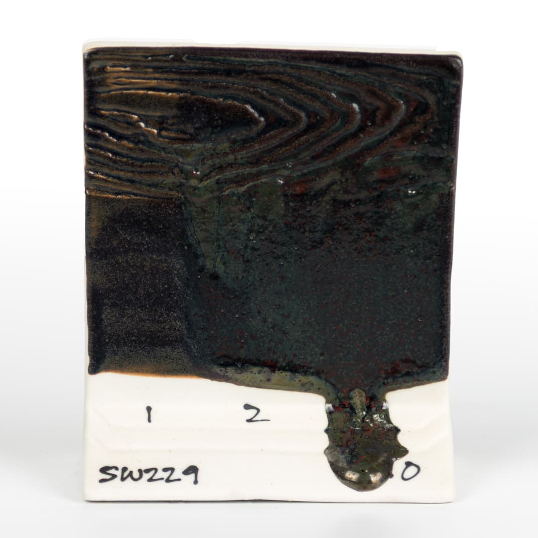 SW229P - Mood Ring - Pint - Imagen 11