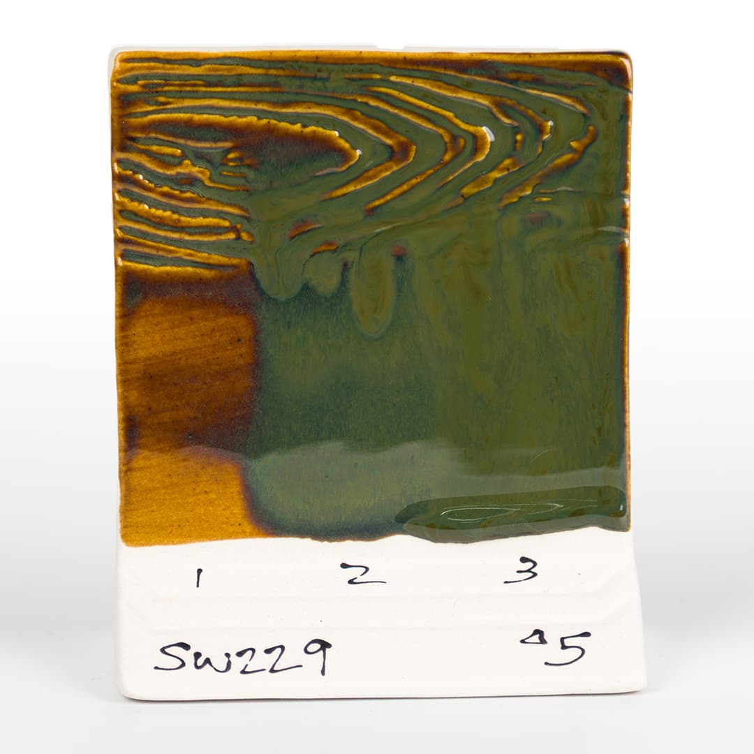 SW229P - Mood Ring - Pint - Imagen 9